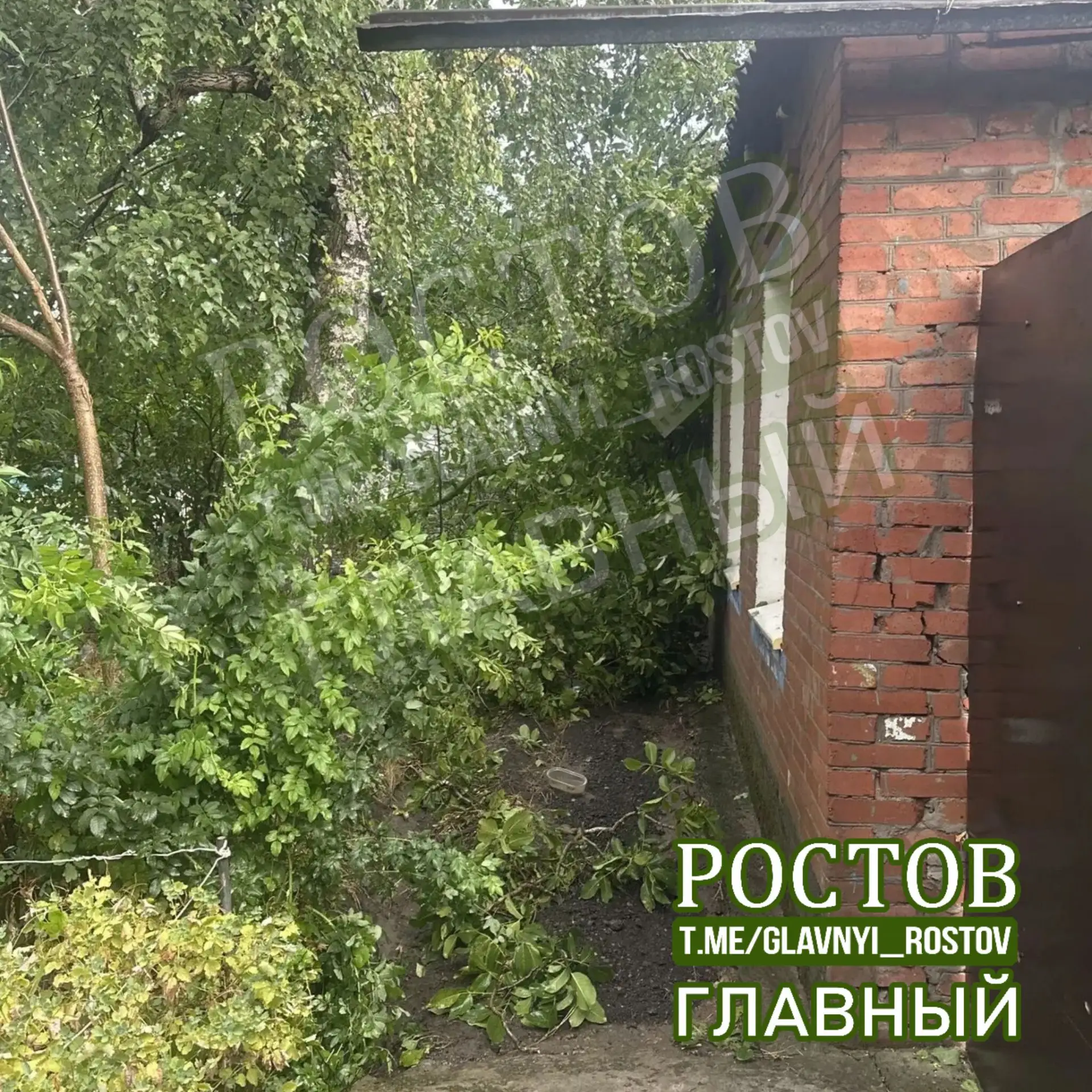 🌳 "ЧП на Алтайской, 17 (Чкаловский). Дерево упало на наш дом, мы не можем попасть в по...