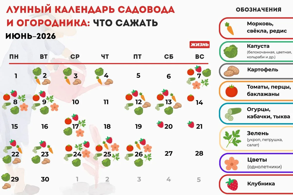 📅 Июнь на пороге☀️