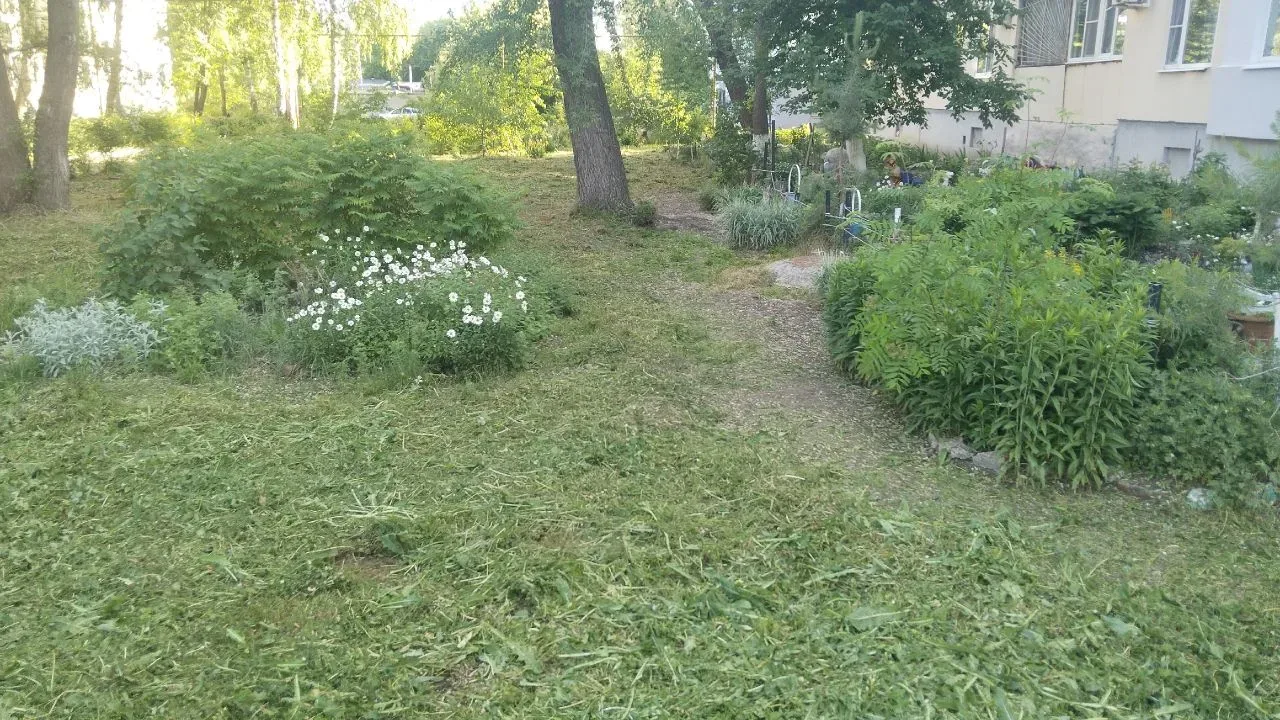 29.05.26 Плановый покос травы по адресу: ул.Пархоменко, д.102