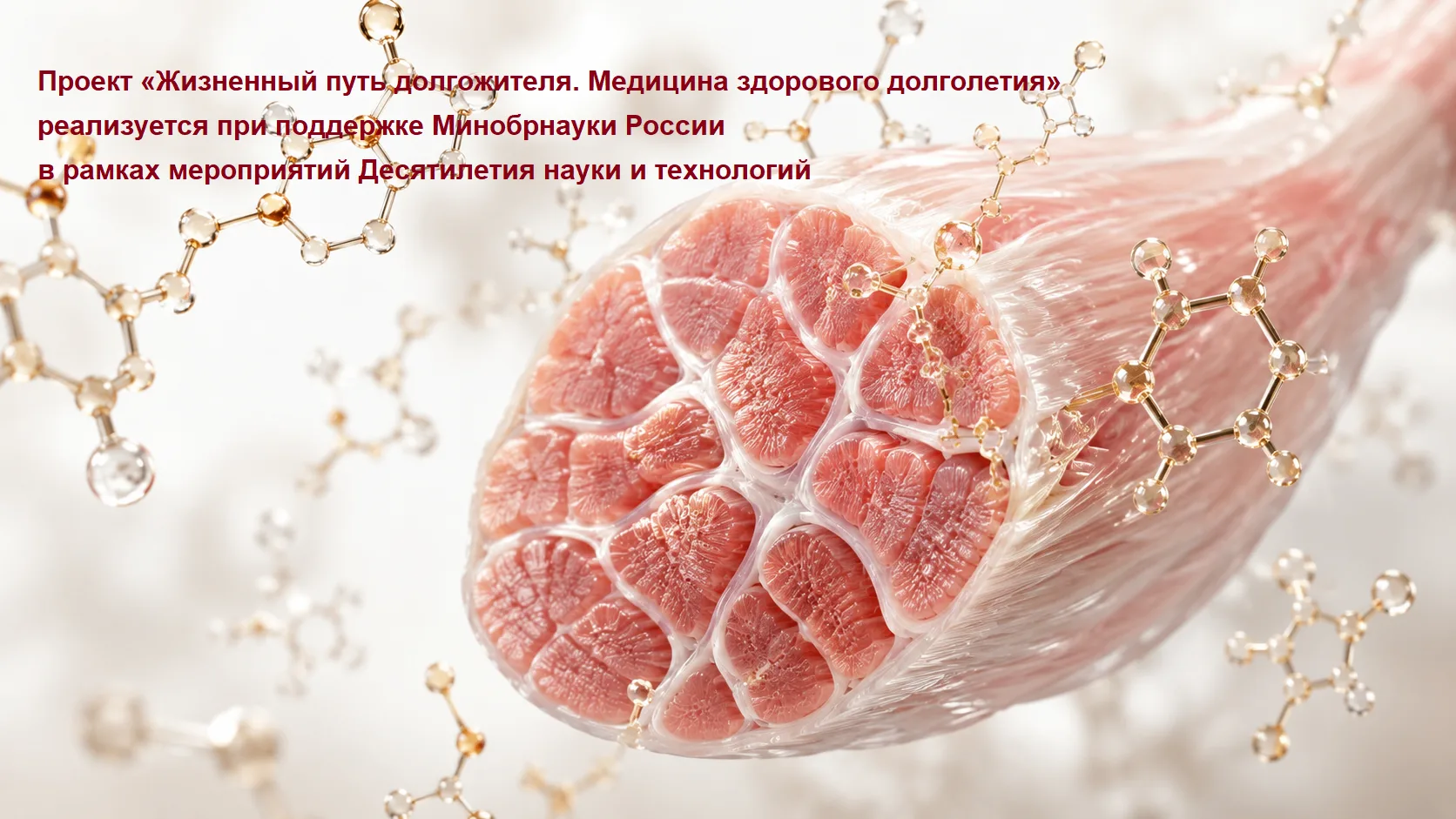 #новостинауки
  
📝 РАСТИТЕЛЬНЫЕ ПОЛИФЕНОЛЫ ЗАЩИЩАЮТ МЫШЦЫ ОТ ВОЗРАСТНОЙ ПОТЕРИ ЧЕРЕЗ ЭПИГЕНЕТИКУ
  