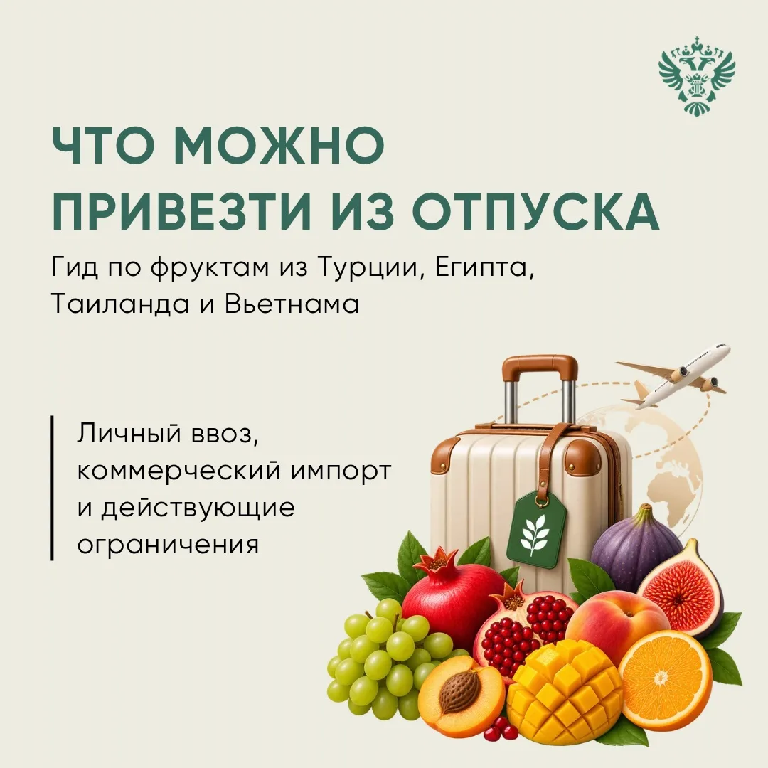 Что можно привезти из отпуска: правила ввоза фруктов в Россию