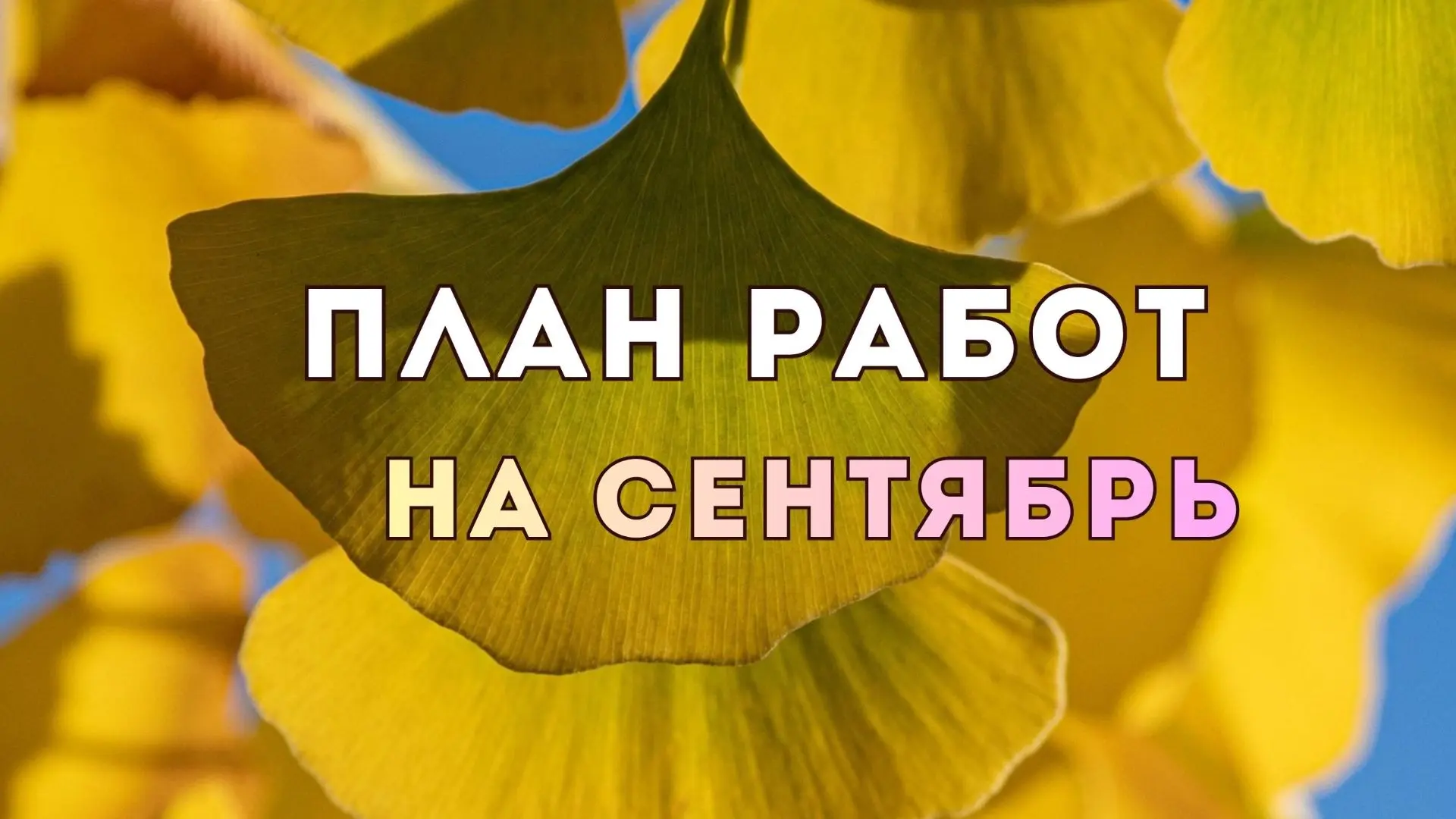 План работ на сентябрь.