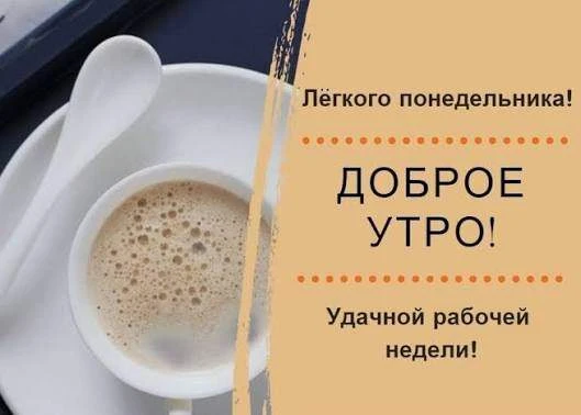 С началом новой недели! 🌿 Пусть она будет легкой, продуктивной и наполненной только хо...