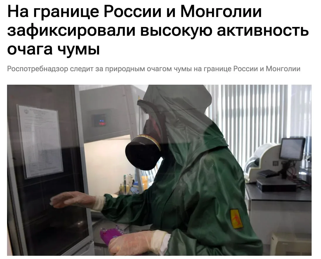 🚨 Чума вспыхнула на российско-монгольской границе