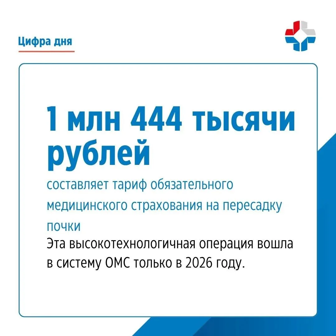 🗓13 августа – Всемирный день донорства органов