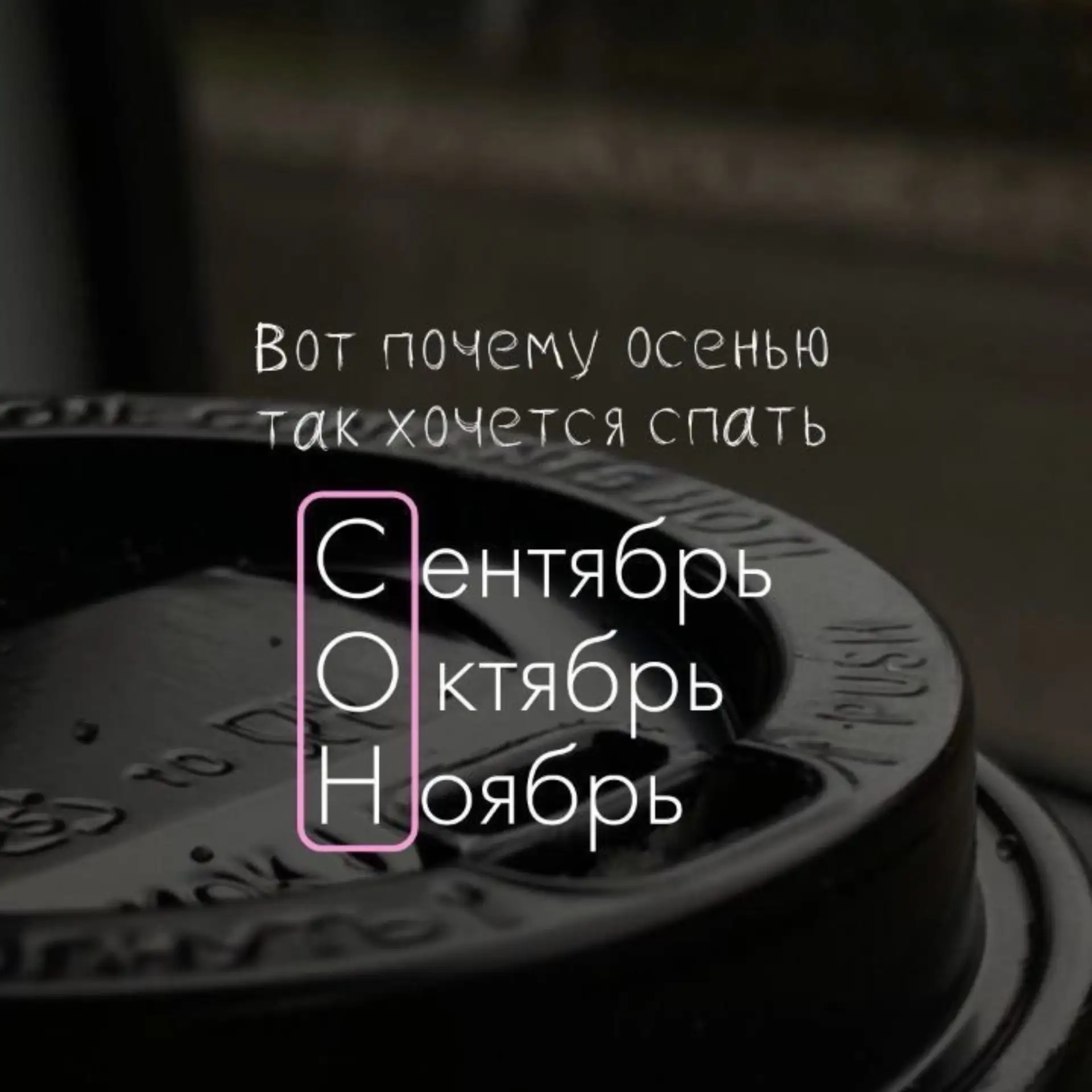 Жиза