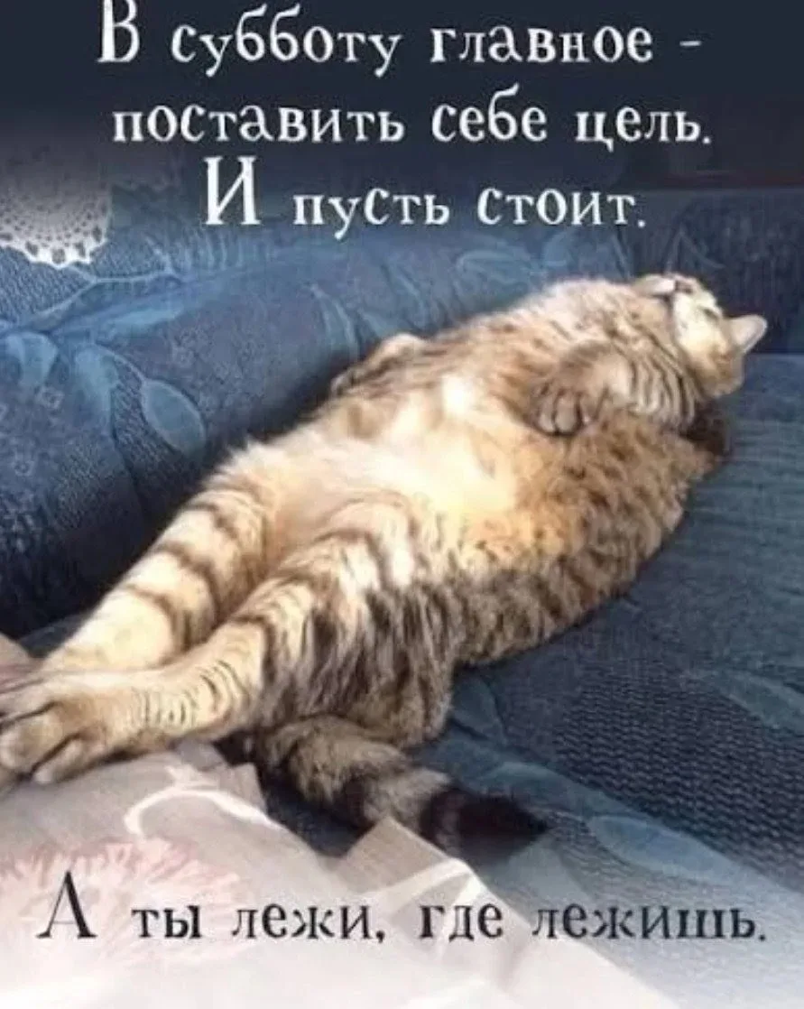 Сегодня ставим свои цели стоять, а сами ложимся лежать 🤭

Да! Сегодня так можно и нужно! 

Доброе у