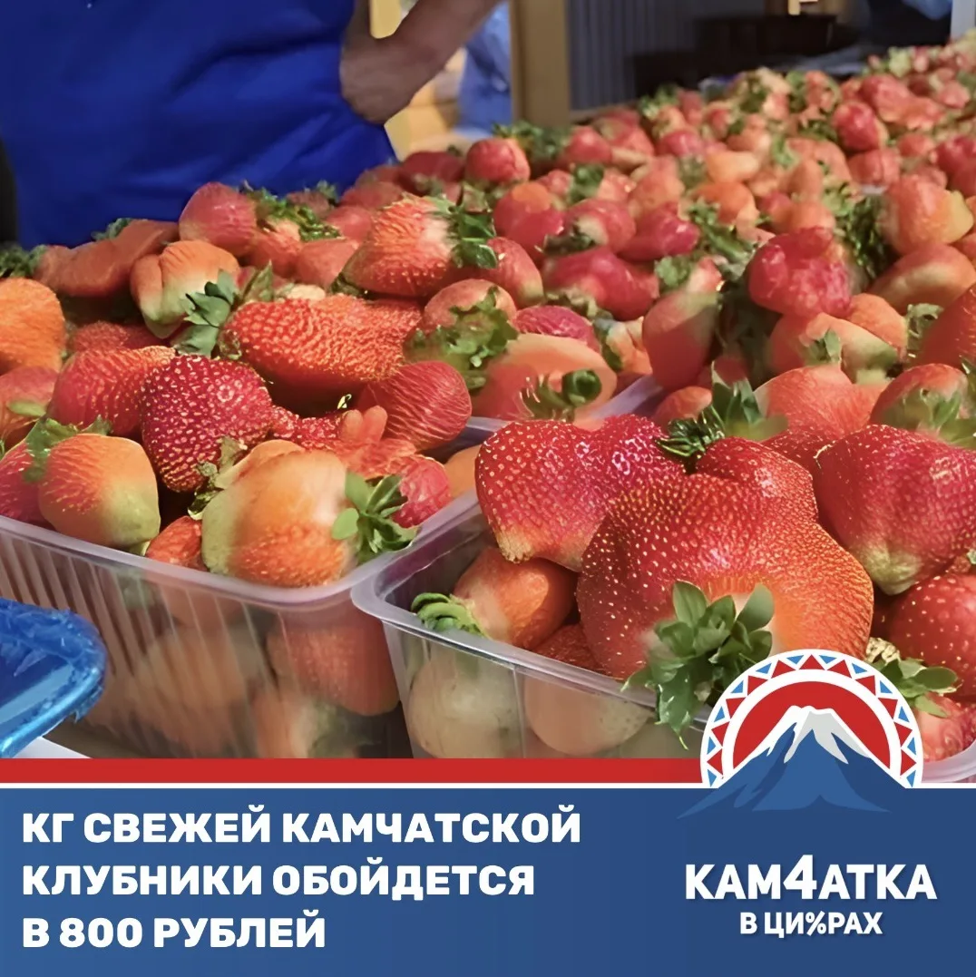 На Камчатке стартовали продажи местной клубники

Цены на первые плоды пока кусаются: за один килогра
