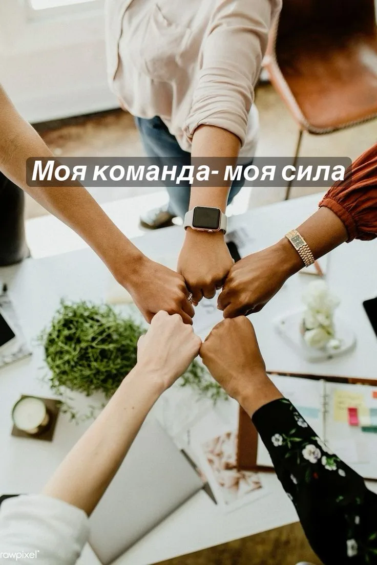 Дорогие друзья ❤