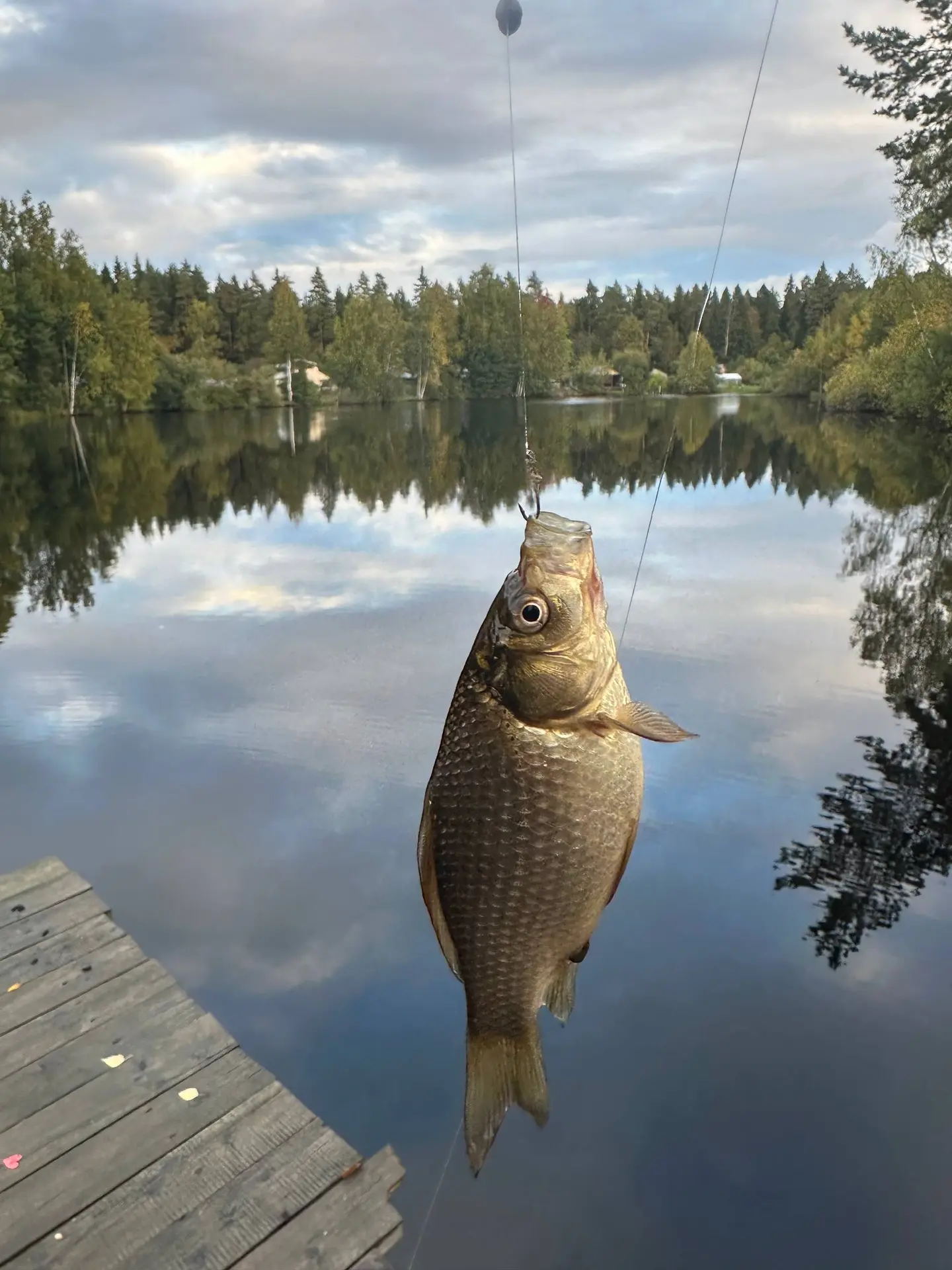 Артём выкинул нас у моей мамы, а сам поехал на рыбалку🎣 Порадуемся за его первый улов!