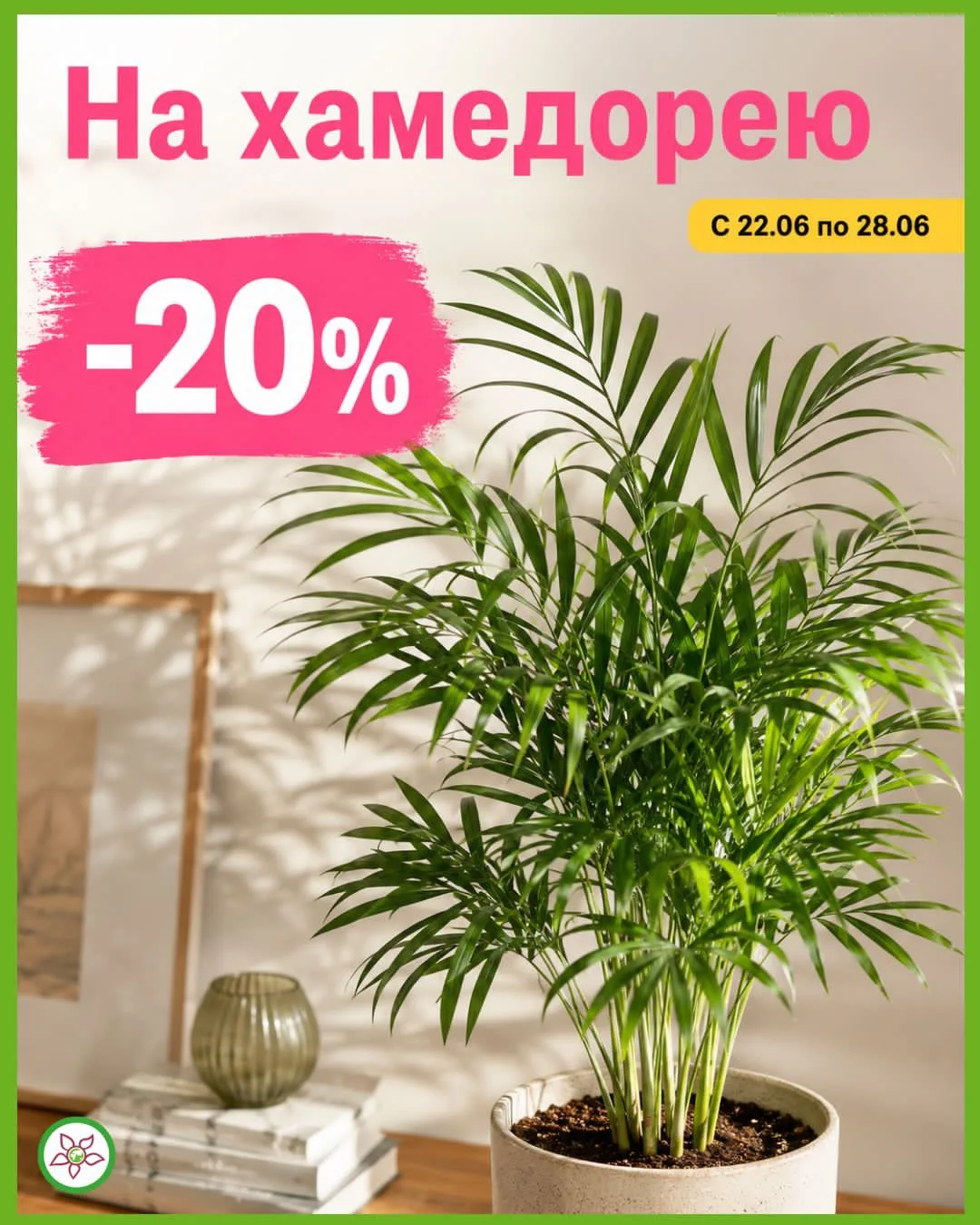 Неделя хамедореи в Планета Лета🌴