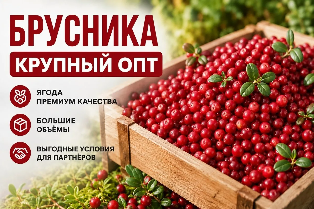 Брусника оптом от 100 кг — свежая и замороженная