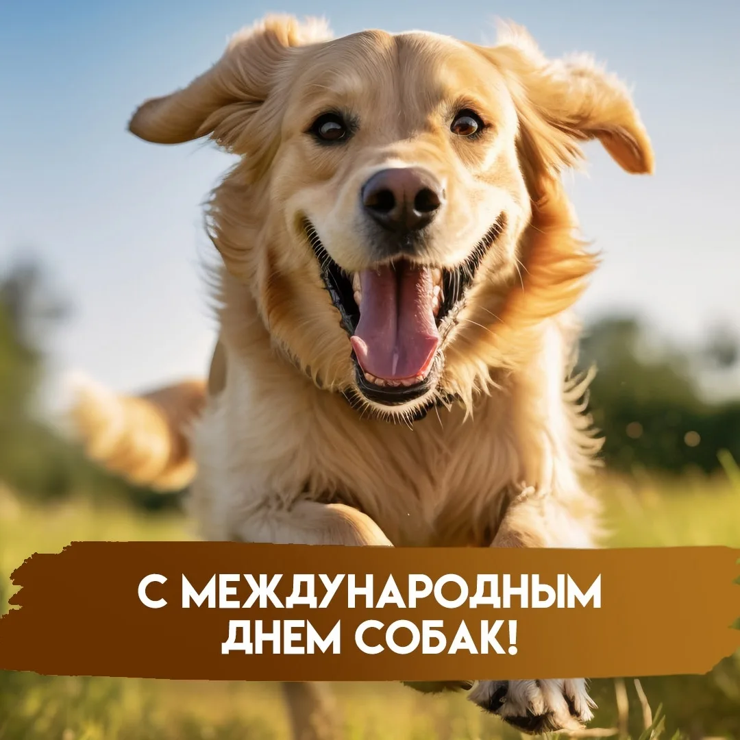 🎉 2 июля — Международный день собак! 🎉

Наши четвероногие друзья делают жизнь ярче, теплее и чуточ