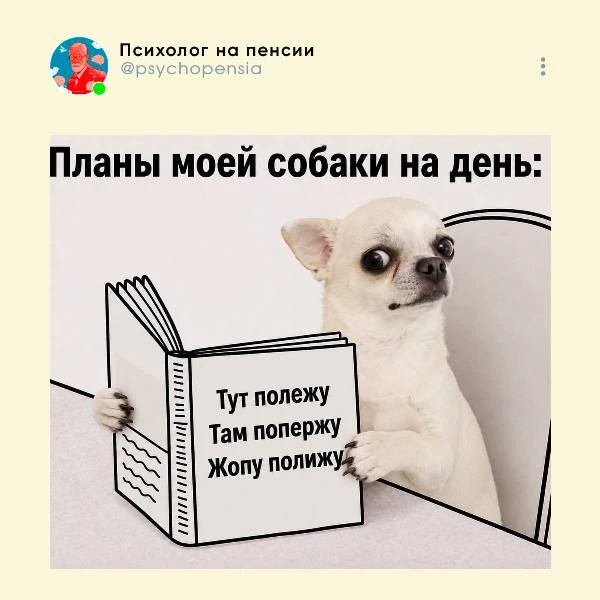 😂 @psychopensia | Мы в МАХ
