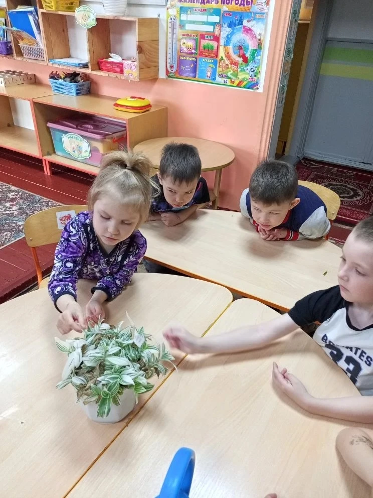 🌿На этой неделе наши юные исследователи погрузились в удивительный мир комнатных расте...
