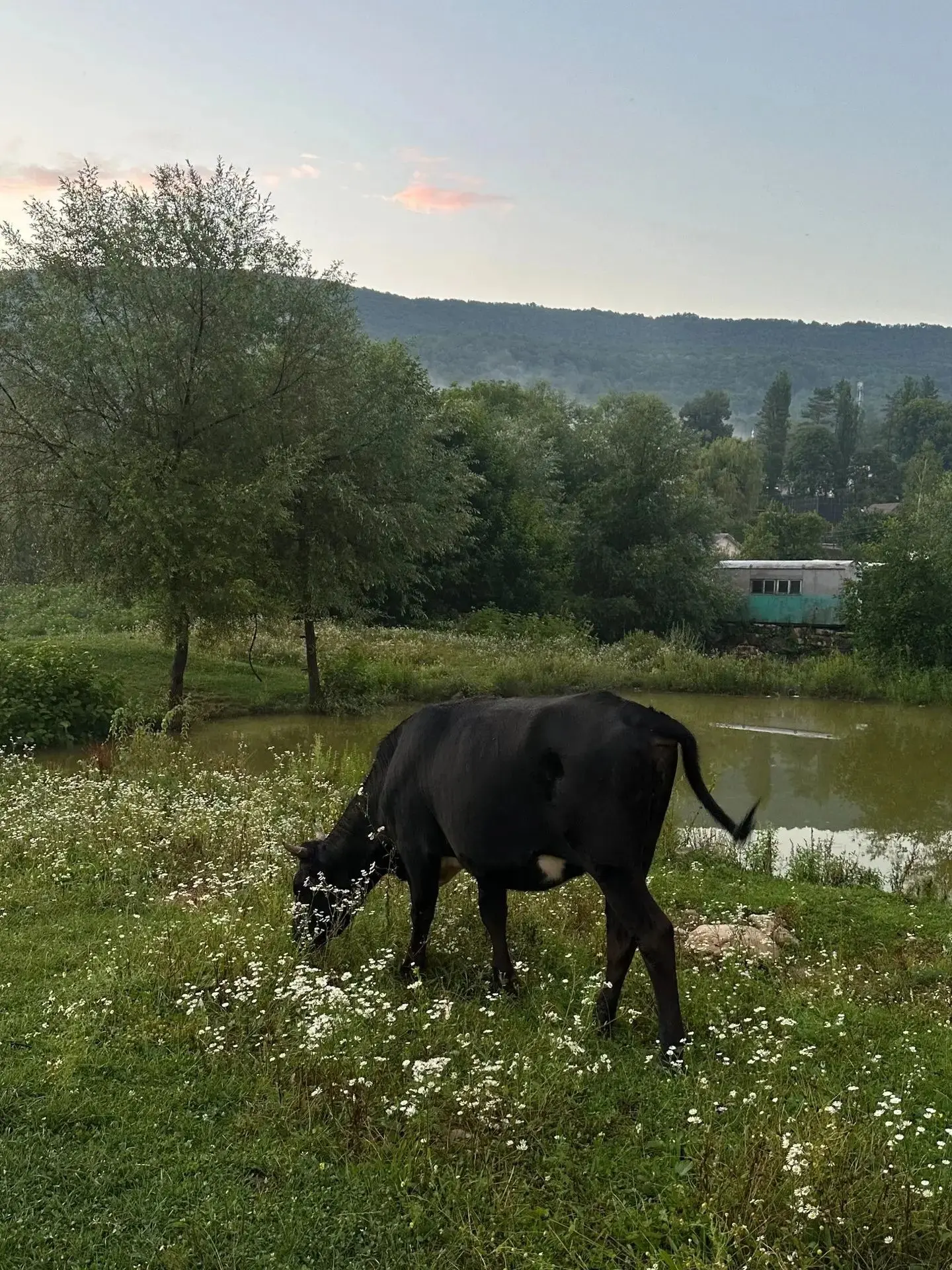 У каждого дня свой аромат.