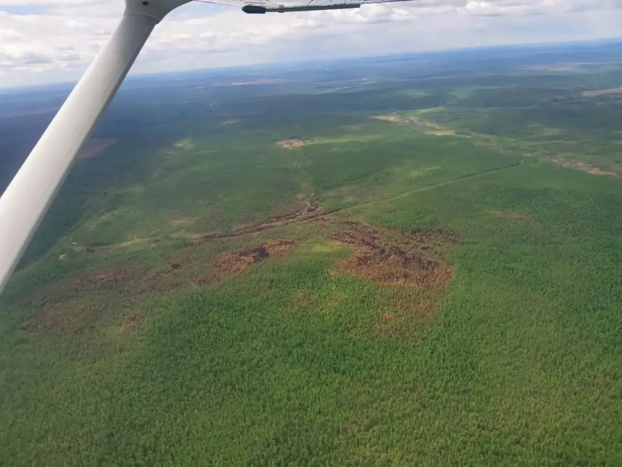 ✅ Последний пожар в Ленском районе локализован