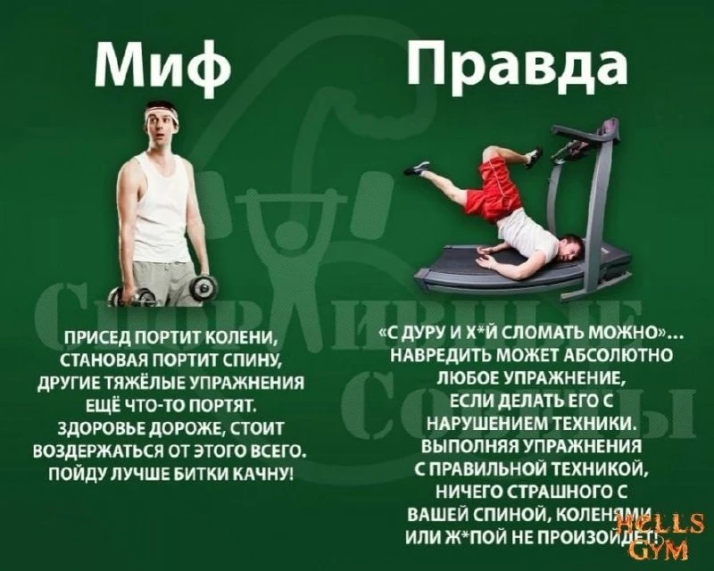Миф/правда🔸🔥  🎀 КАЧАЛКА для ЛЕДИ 🎀