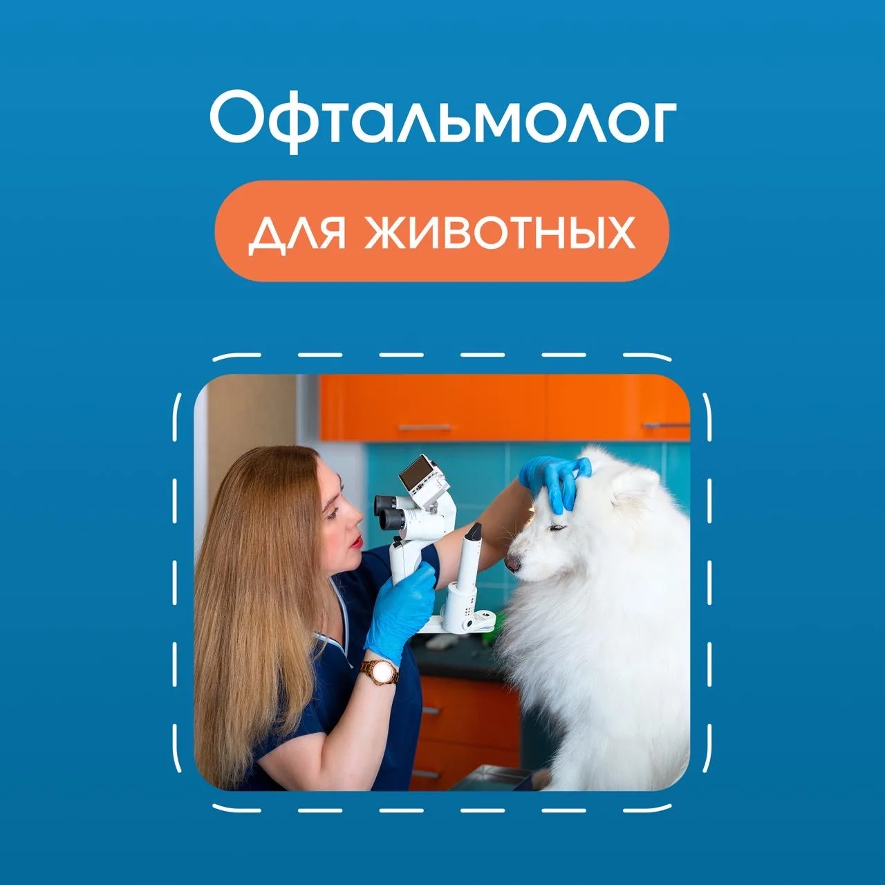 Зрение играет огромную роль в жизни домашних животных, и любые проблемы с глазами могут...