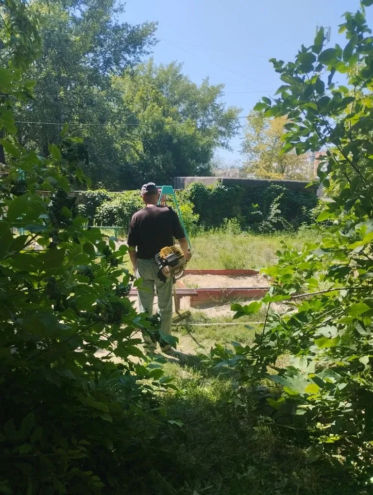 В Центрально-Городском внутригородском районе продолжается покос сорных и карантинных т...
