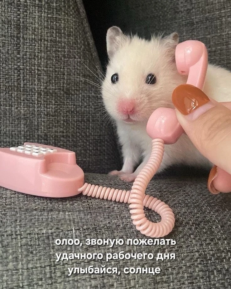 Псссс…