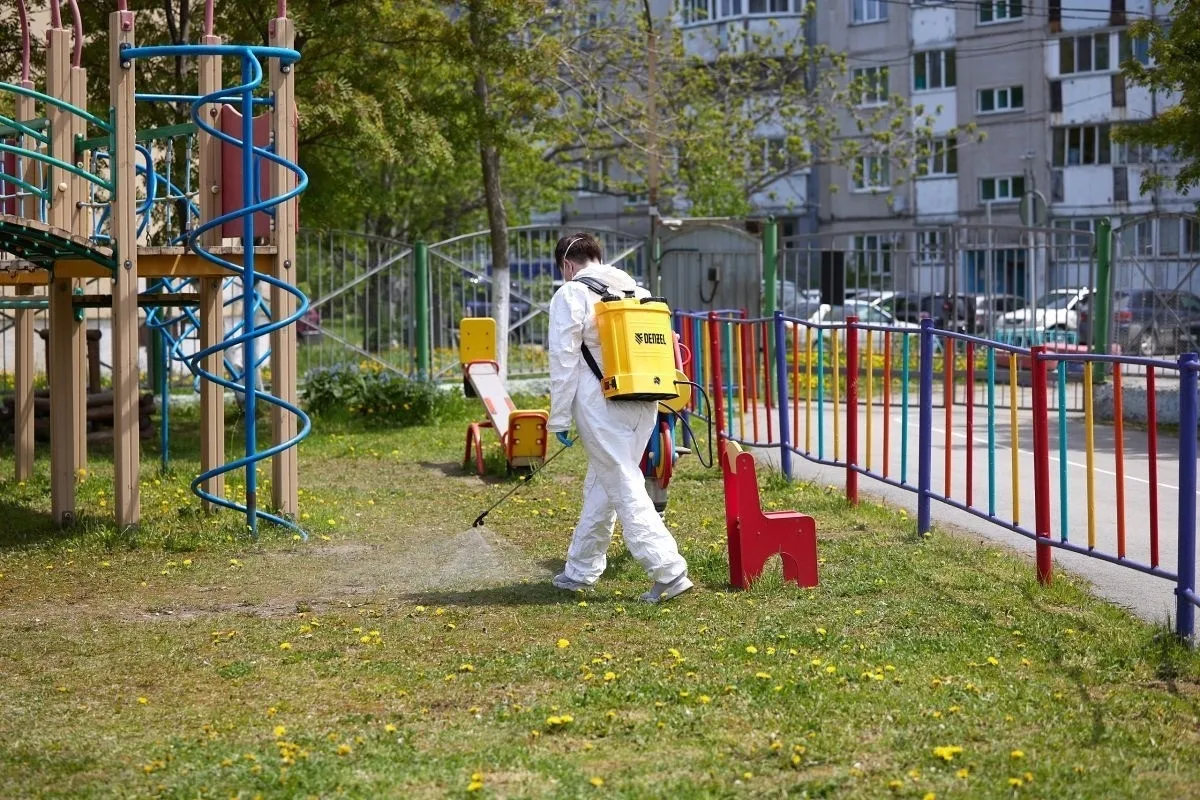 Территории детских садов и школ Южного обрабатывают от клещей   Это является обязательным требование