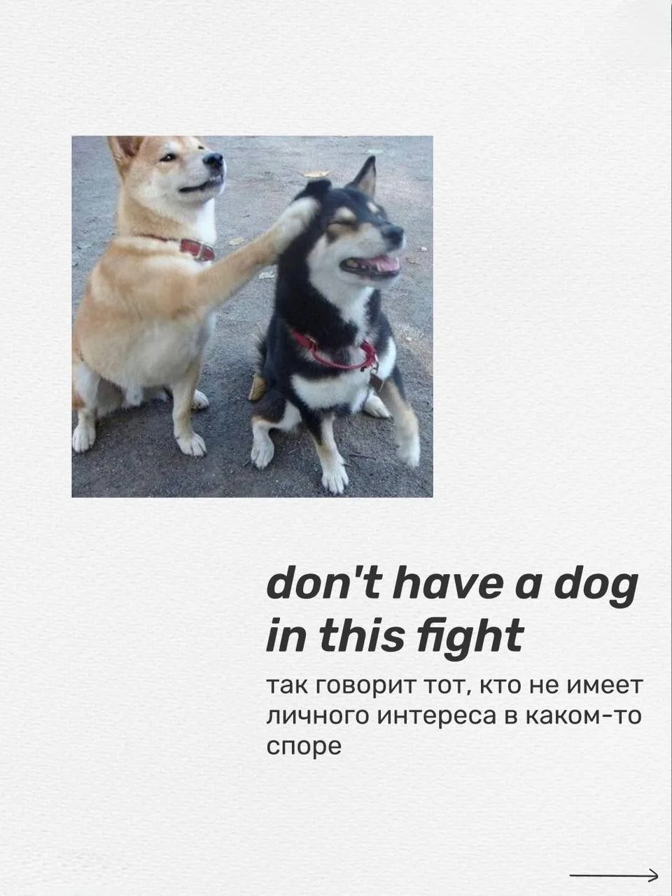 АНГЛИЙСКИЙ, КОТОРЫЙ НЕ ПЕРЕВЕДЁШЬ ДОСЛОВНО 🐶