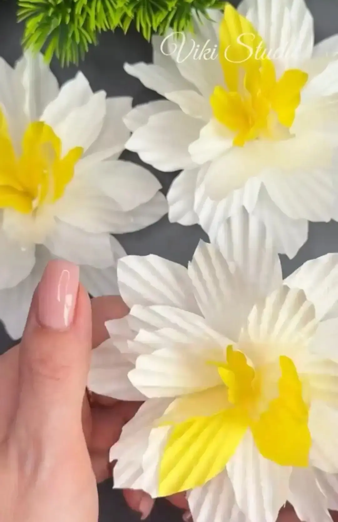 Цветы 🌺