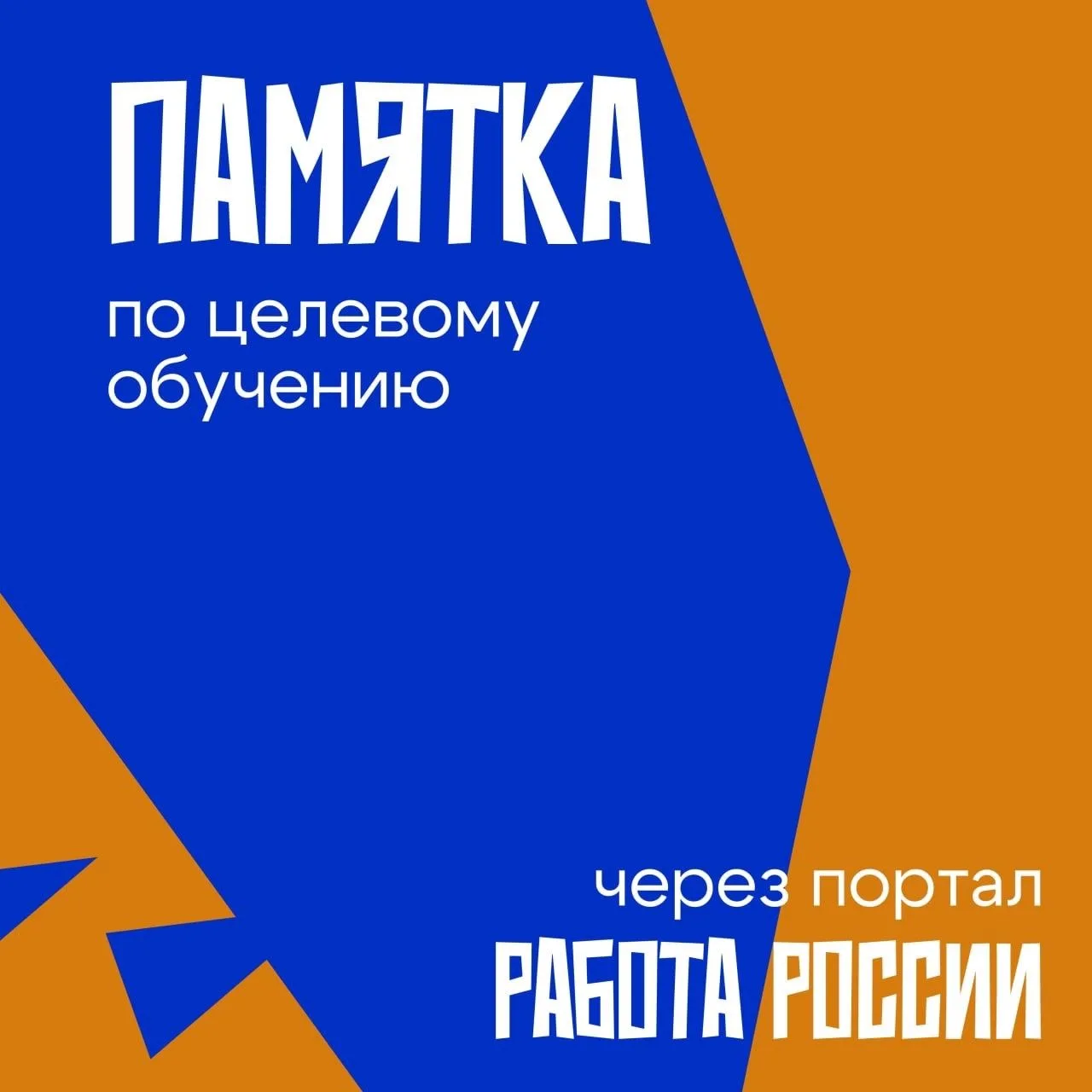 Как заключить договор для целевого обучения? Рассказываем! 🥸
При заключении договора о целевом обуч
