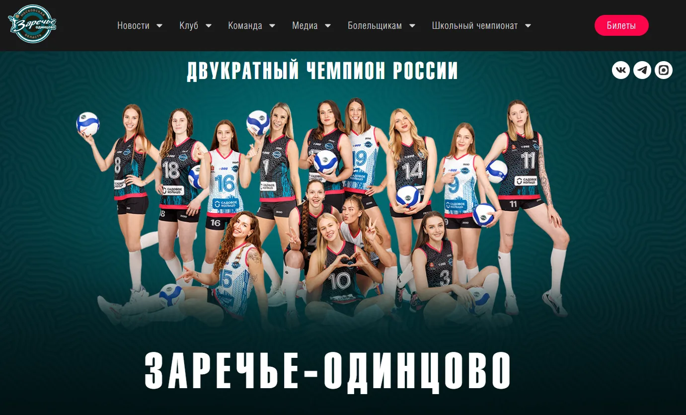 Сильная команда = сильный результат

В феврале мы закончили сайт для одинцовской волейбольной команд