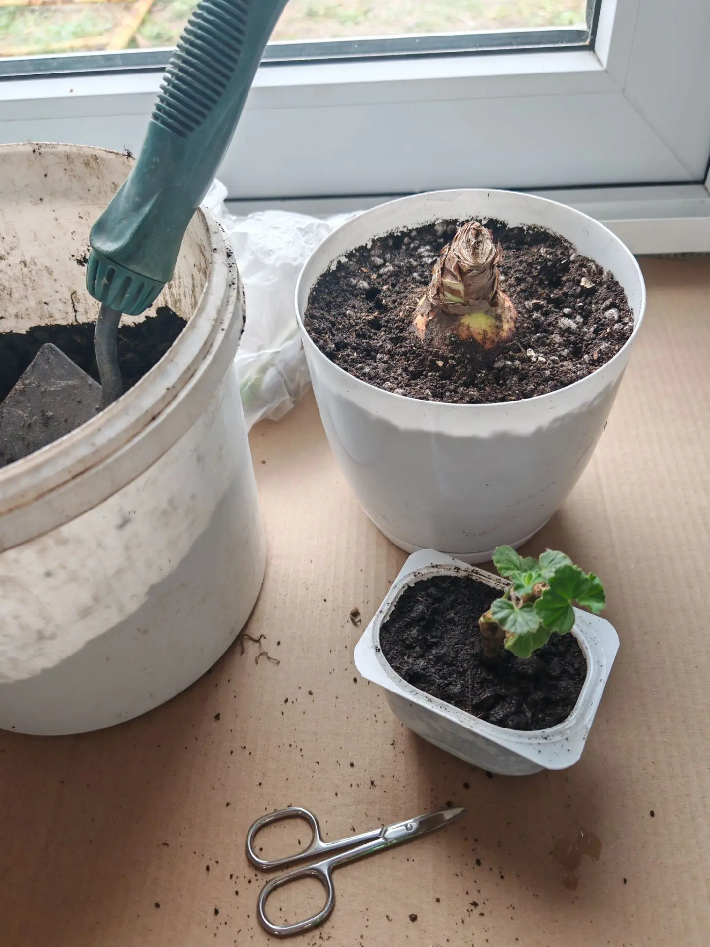 Начало положено! 🌺🌺🌺