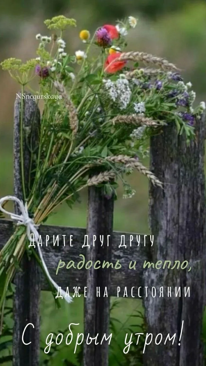 Доброго дня