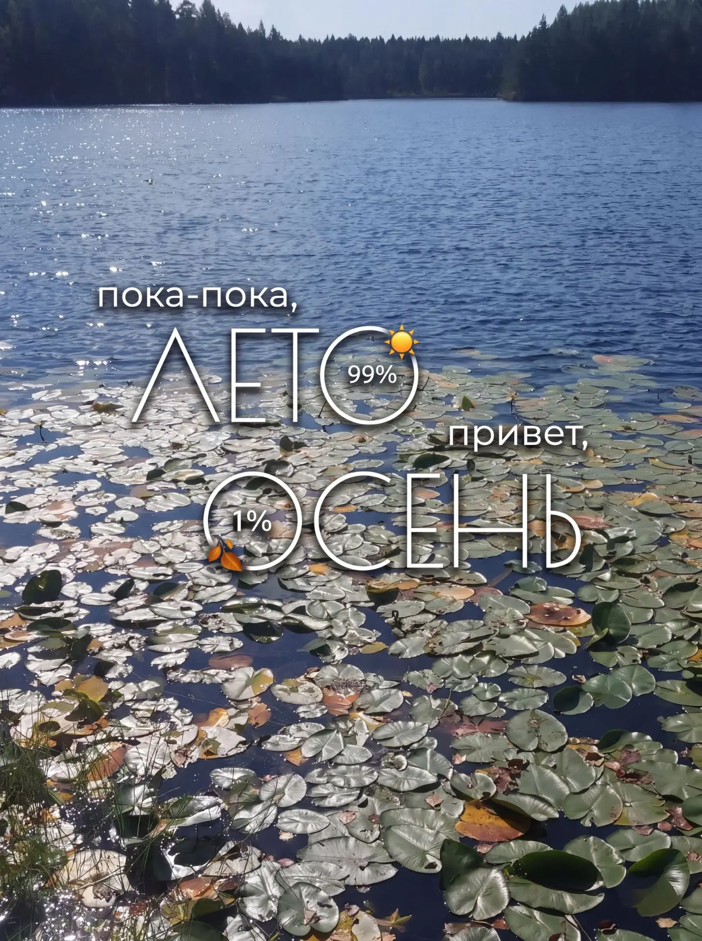 Доброго начала недели, друзья !