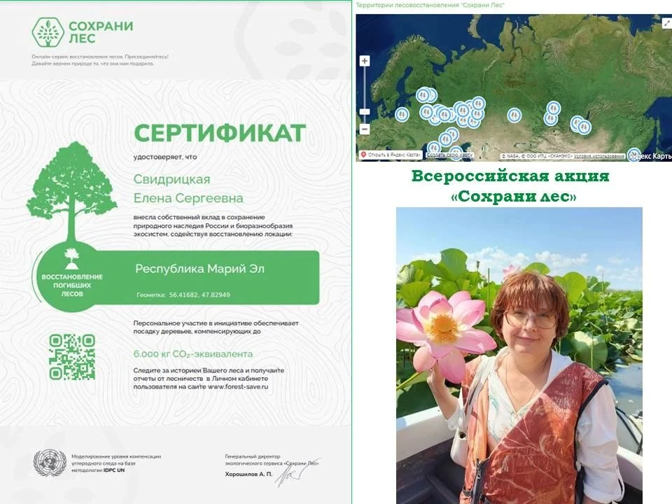Акция «Сохраним лес» — это ежегодная всероссийская инициатива, направленная на восстановление лесов,