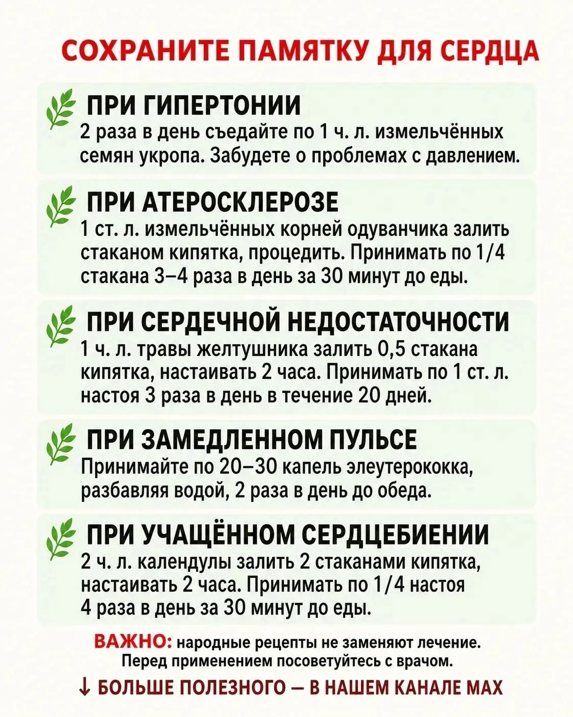 Жизнь с гипертонией: 5 главных правил