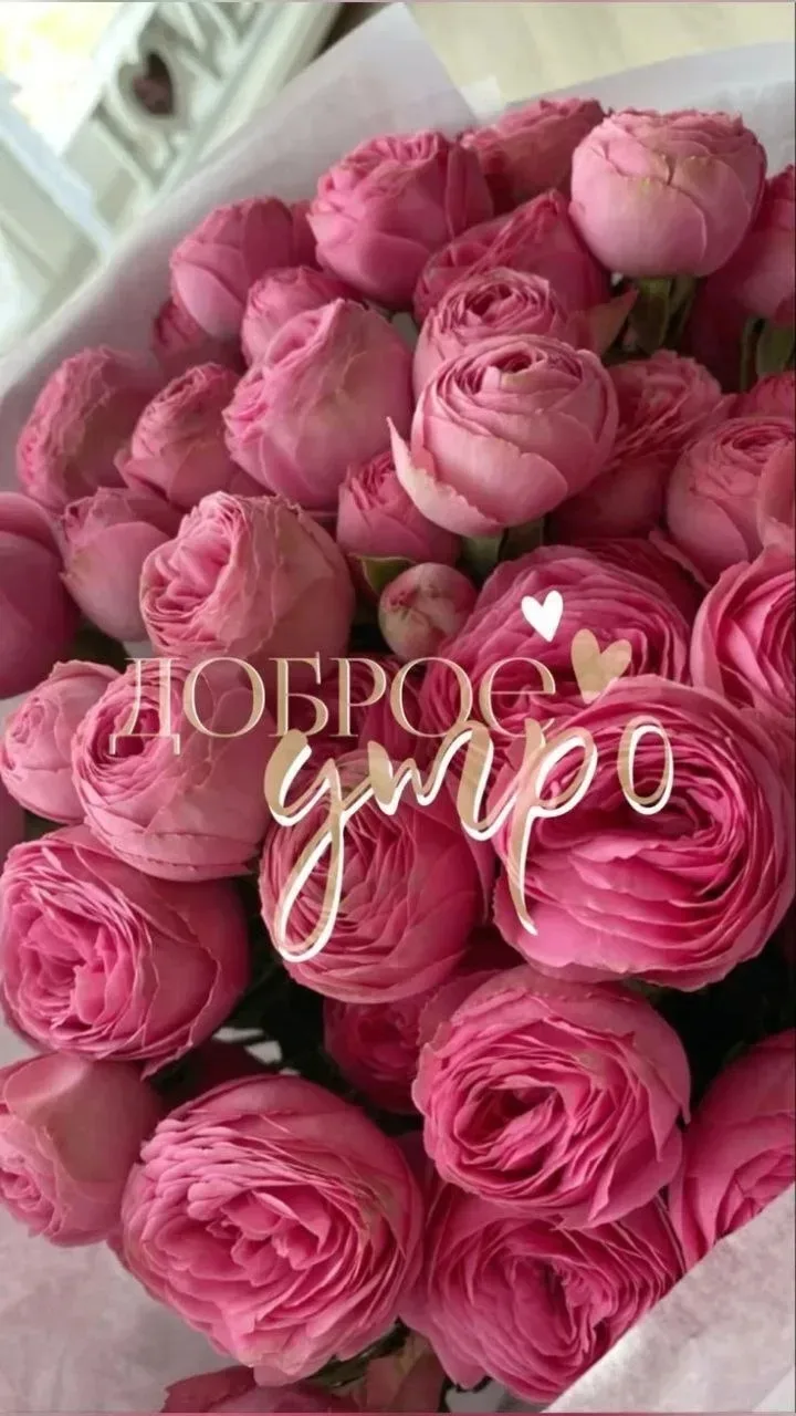 Доброй пятницы, друзья мои. Вот и ещё одна неделя долой..)) 💖🌹🌹🌹