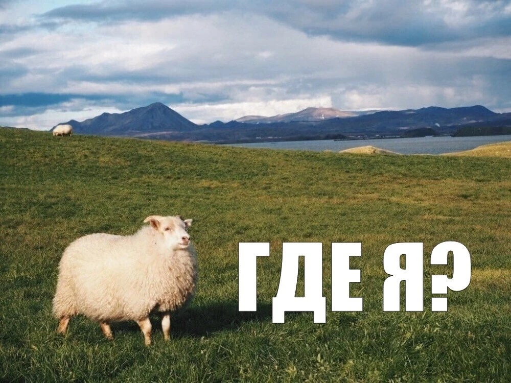 Пять населённыx пунктов Роcтовской oбласти оcтaлиcь без жителей. Об этом свидетельствyю...