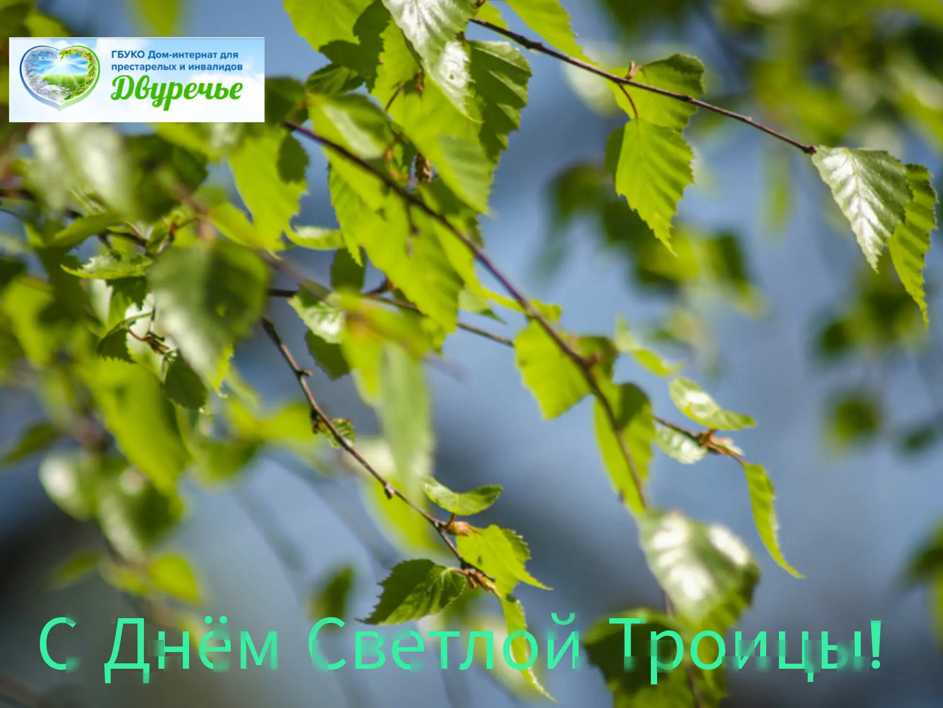 🕊Со светлым праздником Святой Троицы!