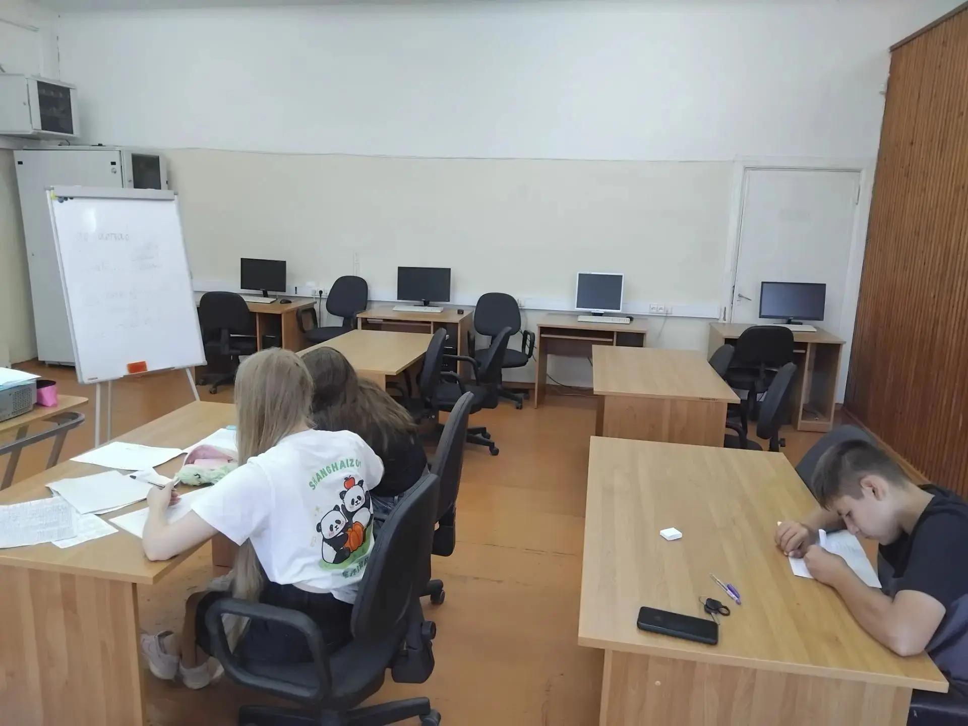 В рамках подготовки к ВсОШ по английскому языку на летних каникулах проводятся индивиду...