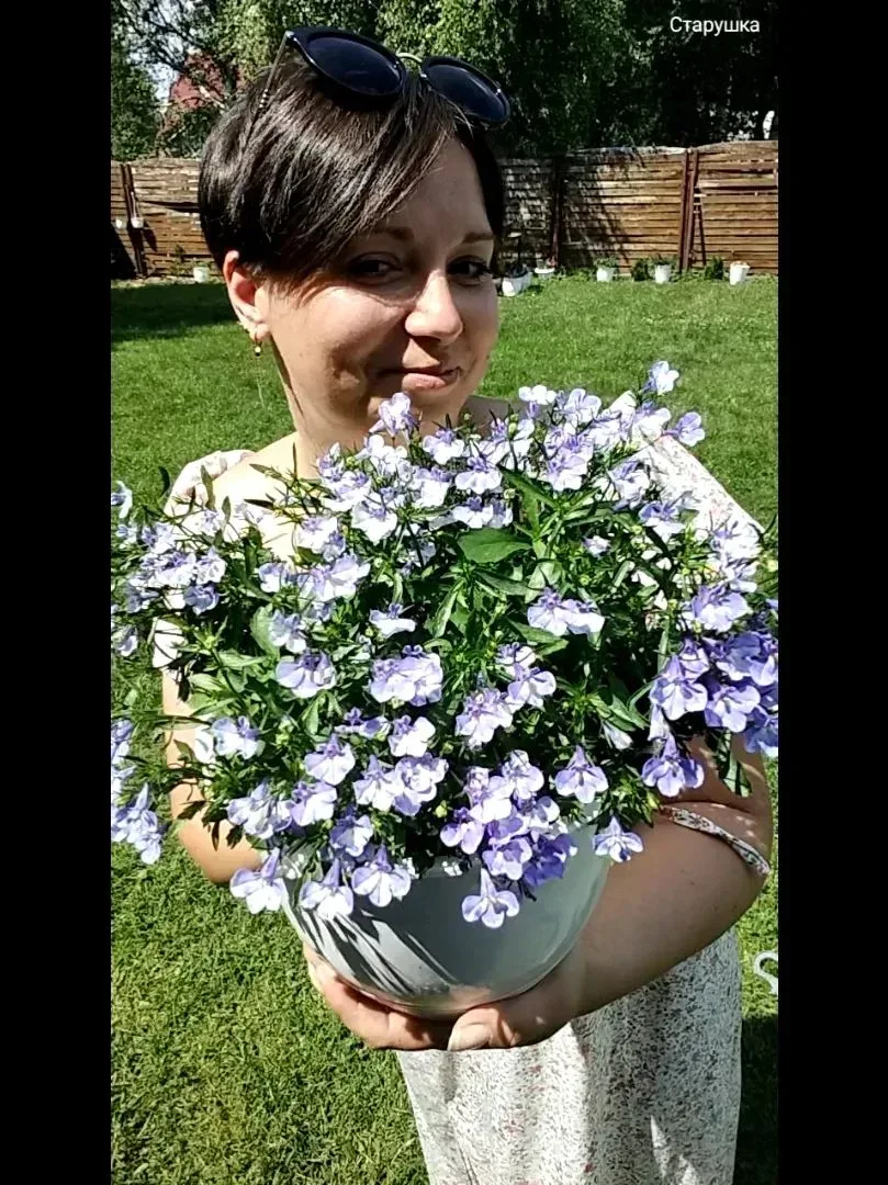 ❗Рекомендация от души и в самое сердечко❤ В блоге у Оли— реальные истории с дачи🏡, чес...
