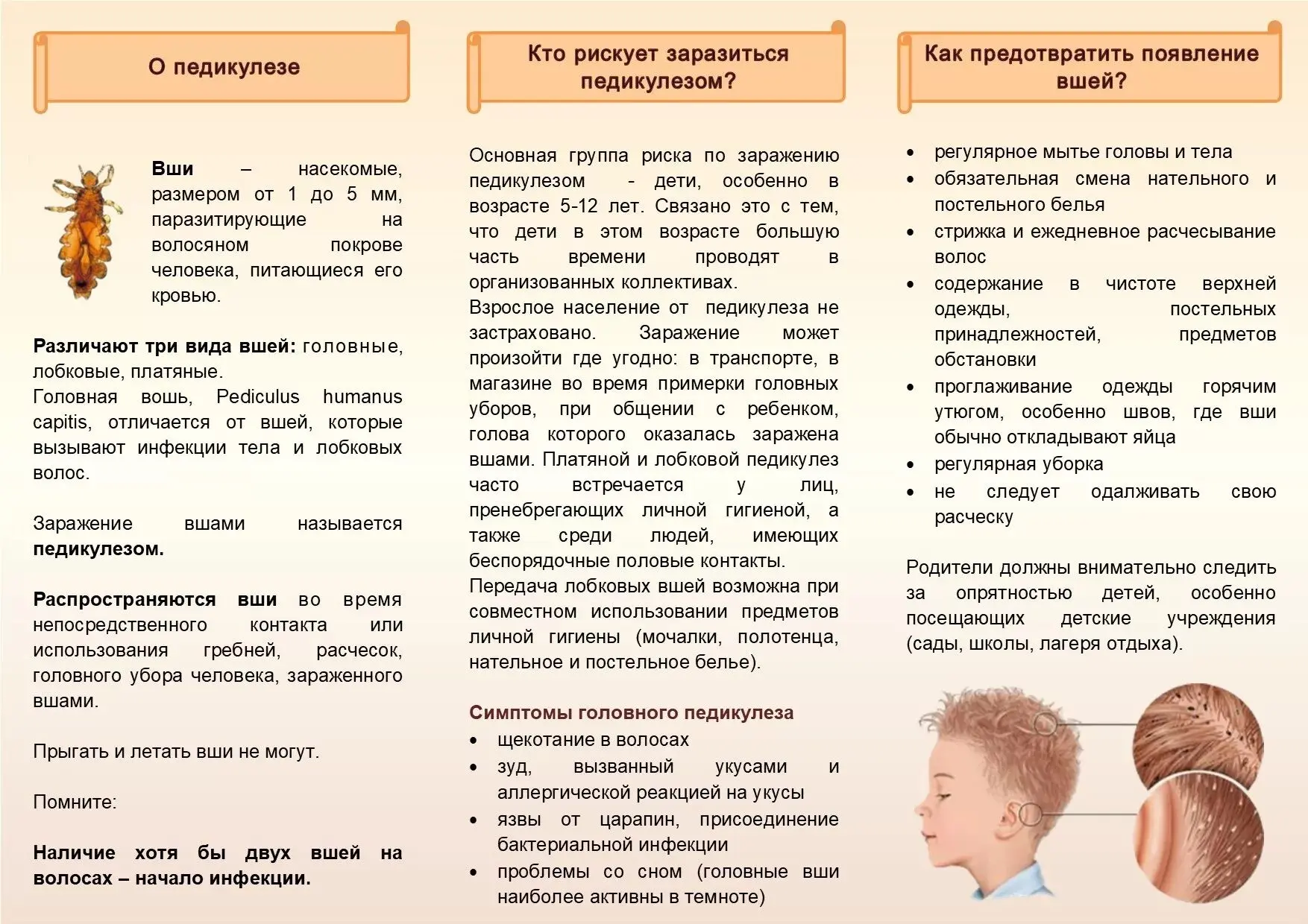 Педикулёз—это паразитарное заболевание, связанное с заражением человека головными, плат...