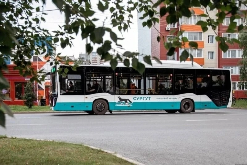 🚌В Сургуте запустили 25 новых автобусов «НефАЗ» с современными системами отопления и кондиционирован