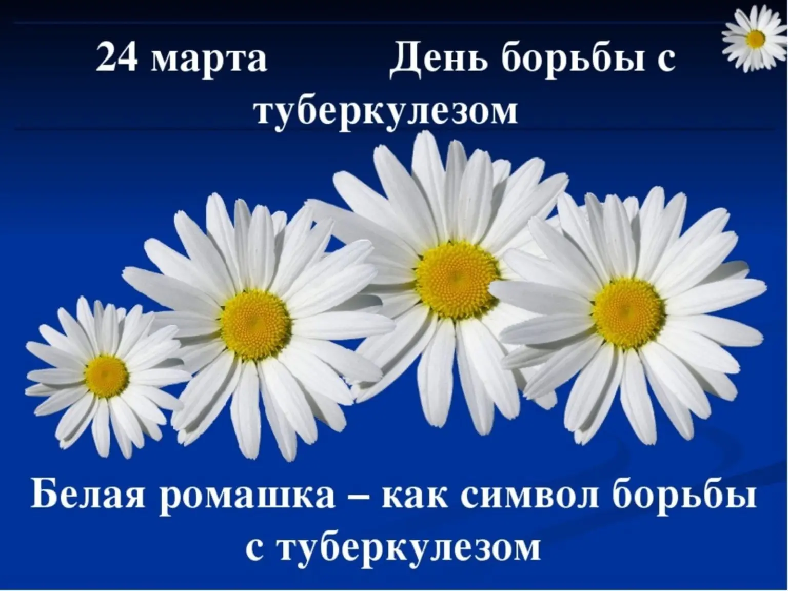 24 марта — Всемирный день борьбы с туберкулёзом