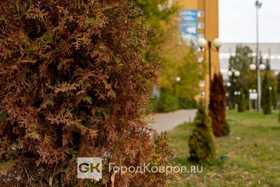 Бабье лето всё: в ночь на воскресенье — первые заморозки 🤧