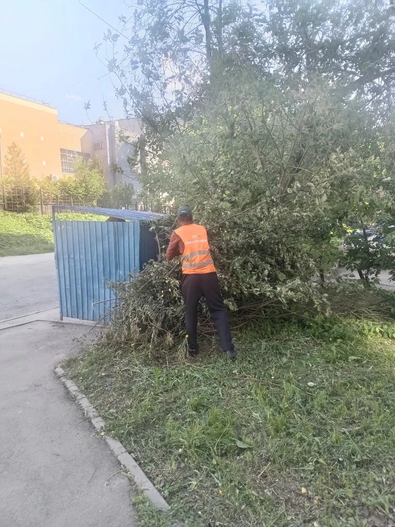 В рамках благоустройства территорий проводим санитарную обрезку деревьев: выполняем вырезку сухих су