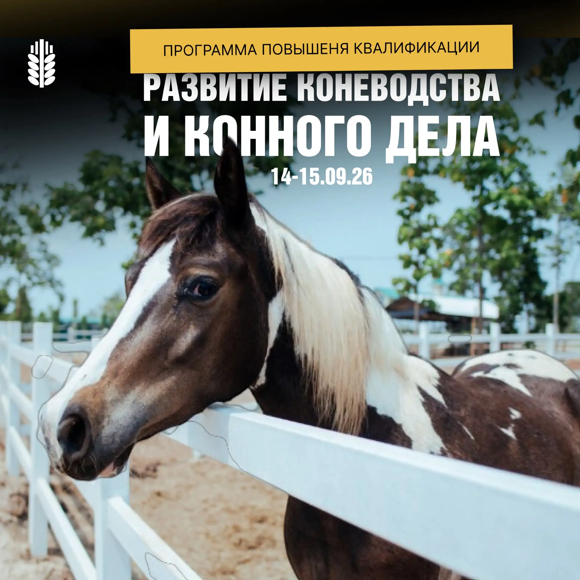 Работаете с лошадьми? В Казани пройдет бесплатное обучение по коневодству