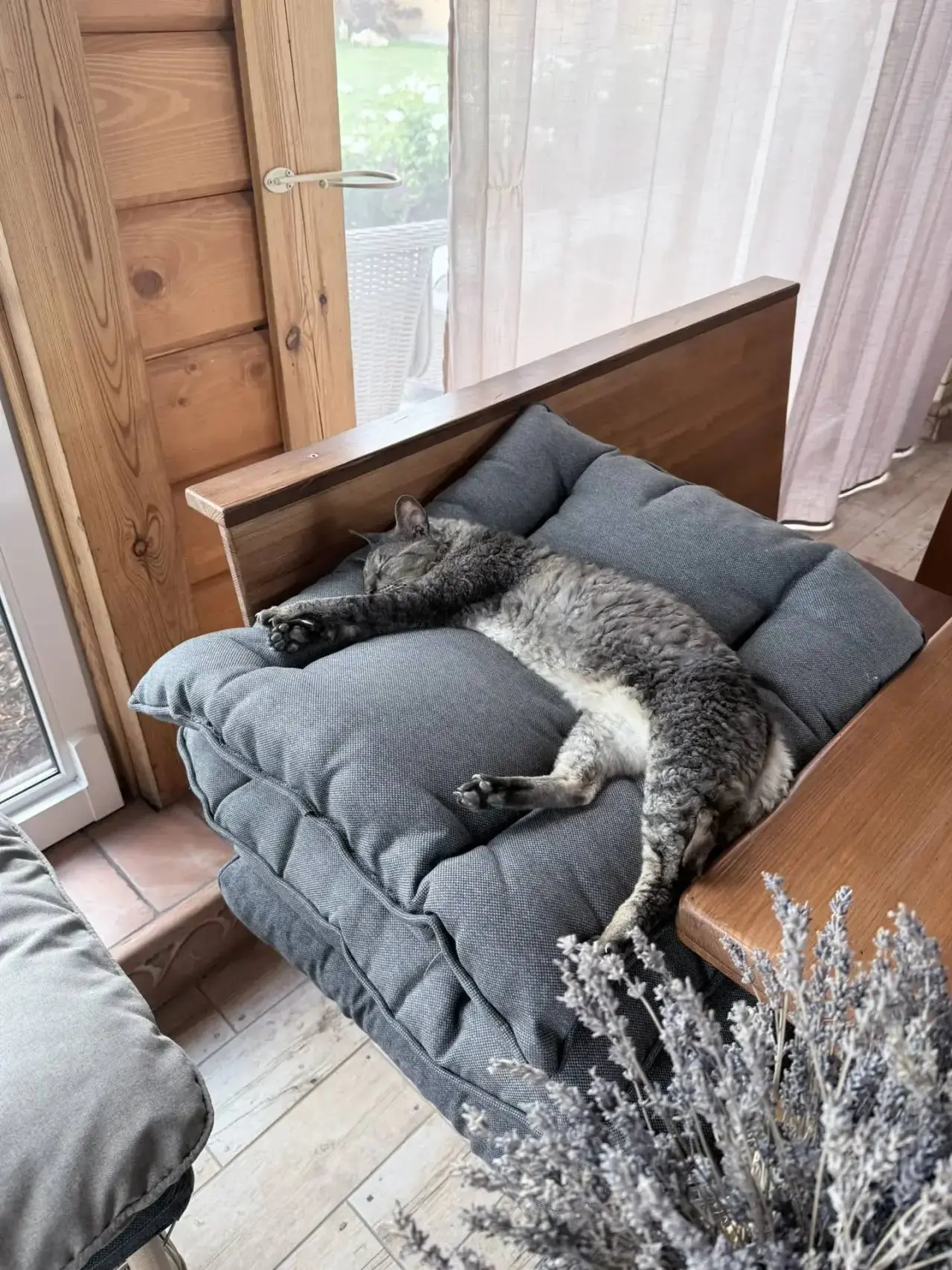 Нашествие котиков!🐈

Засушенная лаванда усыпила нашу старушку, а второй негодник видимо ждёт, когда