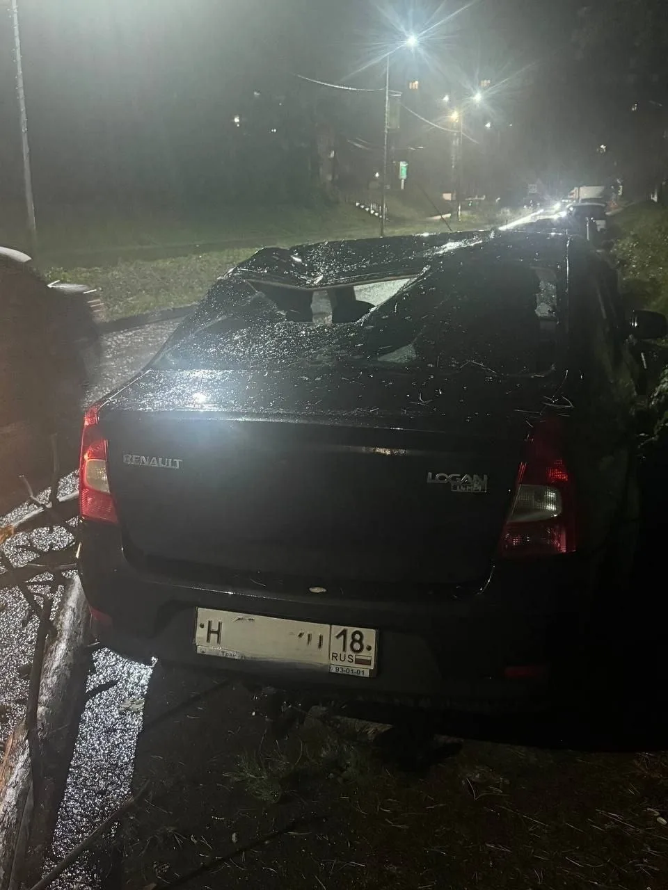 📍Деревья упали на машины в Ижевске