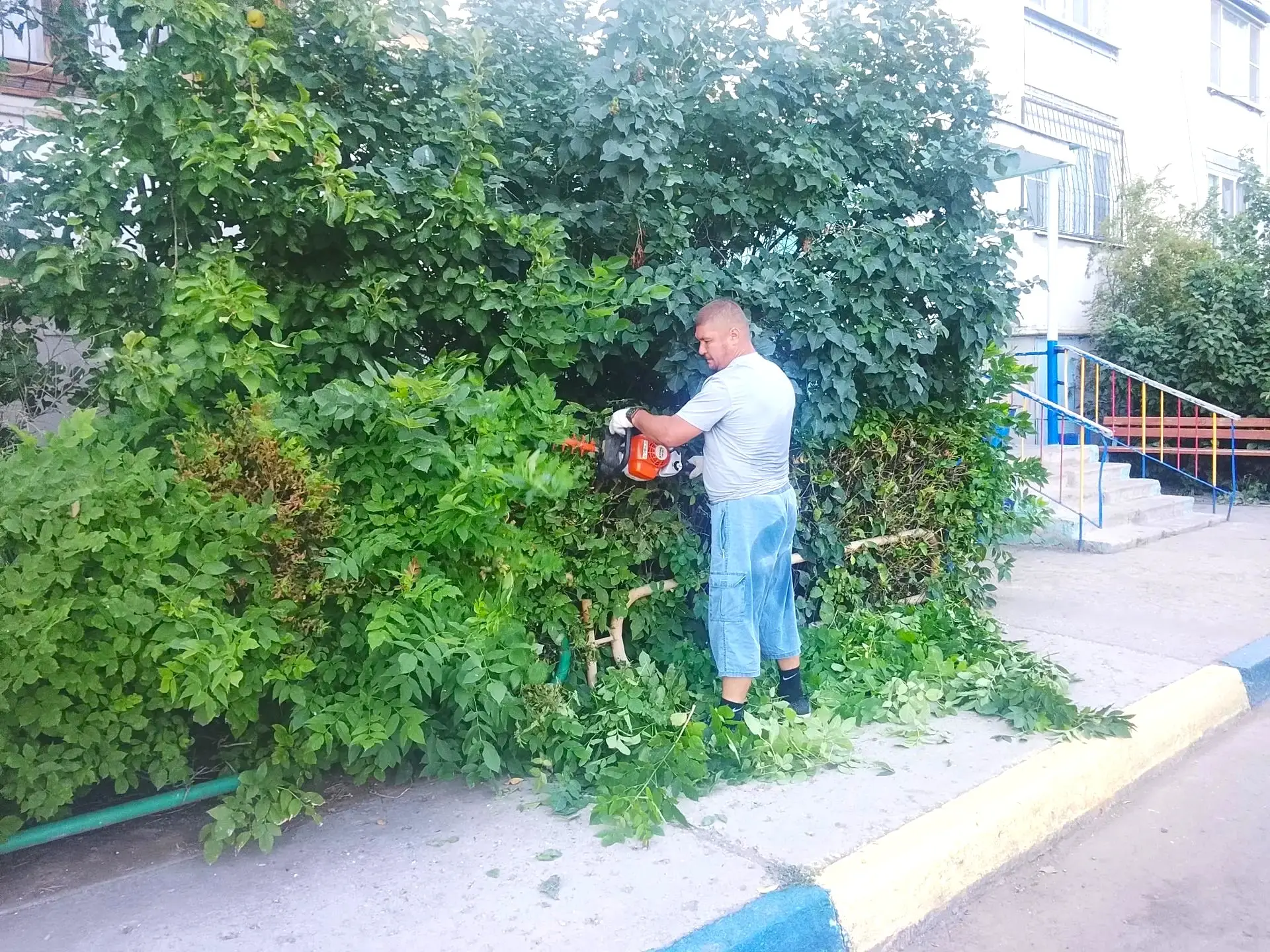 К новости «🌿 Зелёная стрижка для идеального порядка! ✂️»