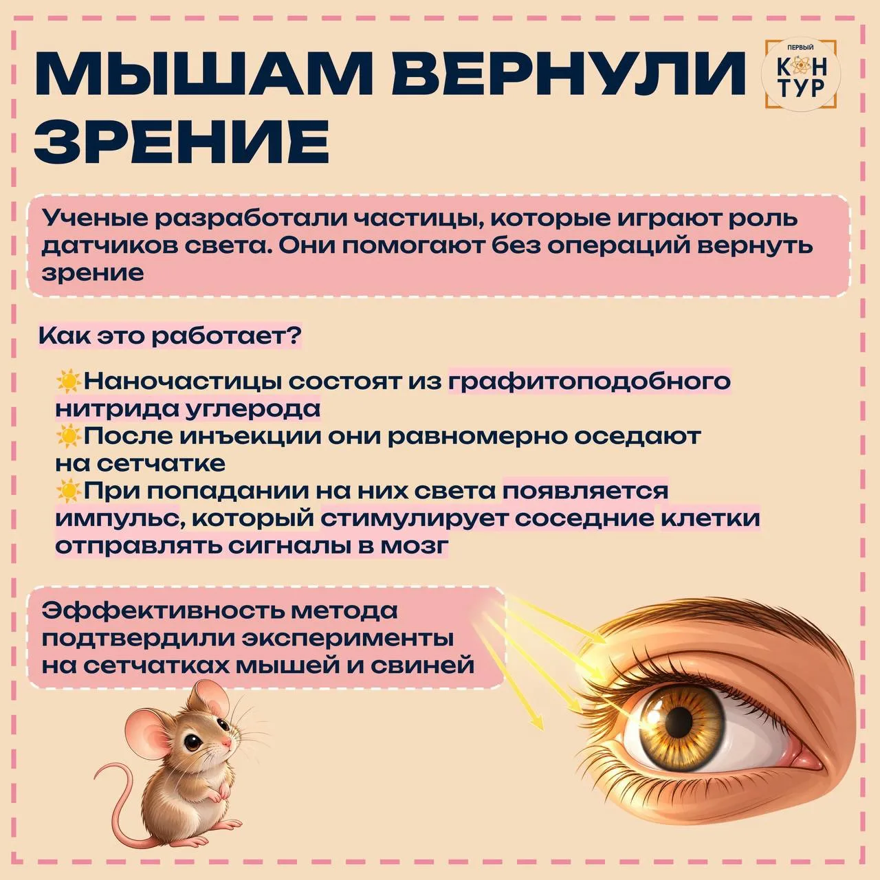 ✨Да будет свет!